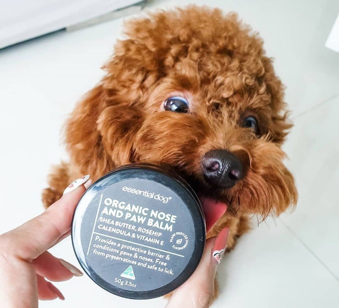 Organic Dog Wellness Bundle – Natural Grooming & Care Kit - Beauty Bundles - Beauty Bundles - Dog Bundle