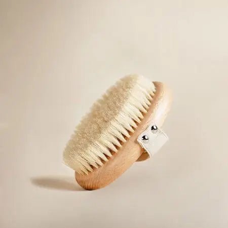 Natural Dry Body Brush tilted slightly captured on its own with a light beige background